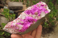 Natural Salrose Cobaltion Dolomite Specimens x 2 From Kakanda, Congo