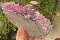 Natural Salrose Cobaltion Dolomite Specimens x 2 From Kakanda, Congo