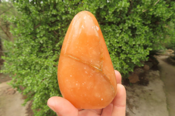 Polished Orange Twist Calcite Standing Free Forms x 3 From Madagascar