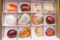 Polished Carnelian Palm Stones x 12 From Madagascar