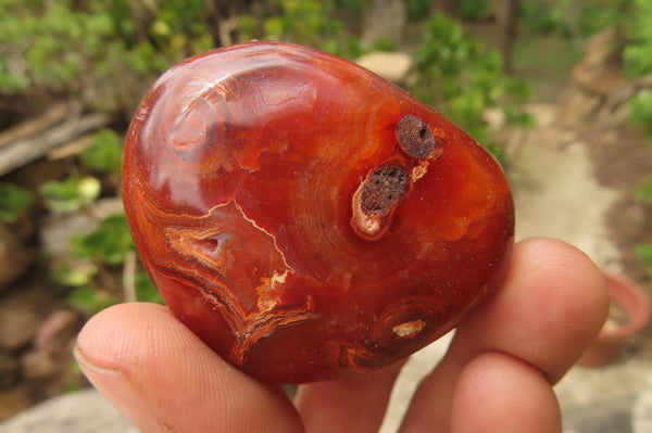 Polished Carnelian Palm Stones x 12 From Madagascar