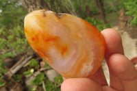 Polished Carnelian Palm Stones x 12 From Madagascar