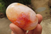 Polished Carnelian Palm Stones x 12 From Madagascar