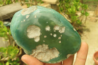 Polished Emerald Mtorolite Galet-Palm Stones x 12 From Mutorashanga, Zimbabwe