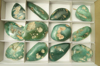 Polished Emerald Mtorolite Galet-Palm Stones x 12 From Mutorashanga, Zimbabwe