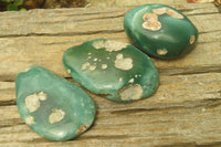 Polished Emerald Mtorolite Galet-Palm Stones x 12 From Mutorashanga, Zimbabwe