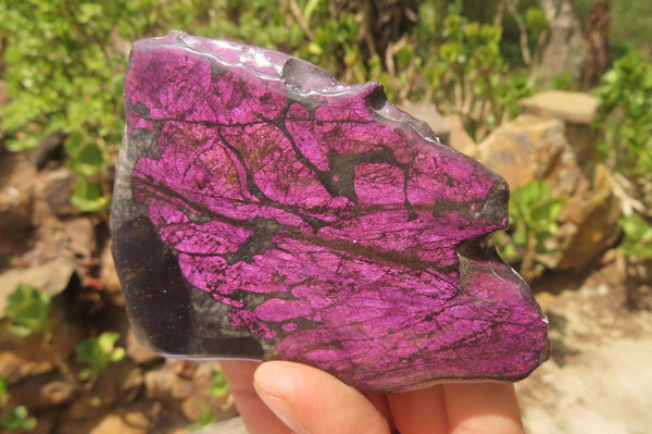 Polished On One Side Metallic Purpurite Specimens x 4 From Namibia