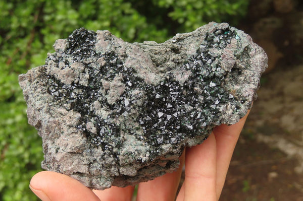 Natural Libethenite Crystals On Dolomite Matrix Specimens x 2 From Shituru, Congo