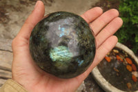 Polished Labradorite Spheres x 2 From Tulear, Madagascar