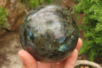 Polished Labradorite Spheres x 2 From Tulear, Madagascar