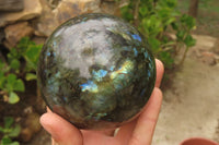 Polished Labradorite Spheres x 2 From Tulear, Madagascar