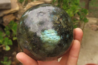 Polished Labradorite Spheres x 2 From Tulear, Madagascar