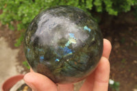 Polished Labradorite Spheres x 2 From Tulear, Madagascar