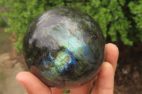 Polished Labradorite Spheres x 2 From Tulear, Madagascar