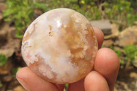 Polished Flower Agate Palm Stones x 12 From Antsahalova, Madagascar