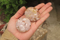 Polished Flower Agate Palm Stones x 12 From Antsahalova, Madagascar