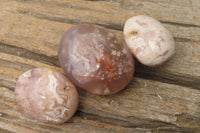 Polished Flower Agate Palm Stones x 12 From Antsahalova, Madagascar