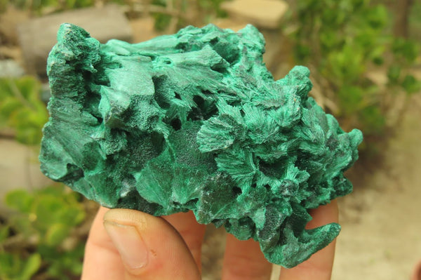 Natural Silky Malachite Specimens x 6 From Kasompe, Congo