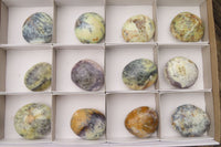 Polished Dendritic Opal Palm Stones x 12 From Moralambo, Madagascar