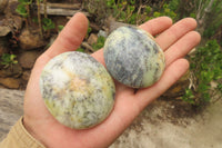 Polished Dendritic Opal Palm Stones x 12 From Moralambo, Madagascar