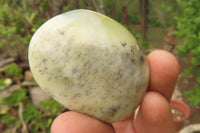 Polished Dendritic Opal Palm Stones x 12 From Moralambo, Madagascar