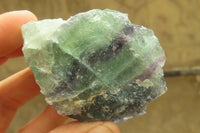 Natural Watermelon Fluorite Cobbed Specimens x 12 From Uis, Namibia