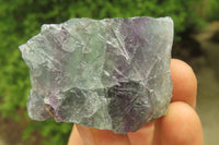 Natural Watermelon Fluorite Cobbed Specimens x 12 From Uis, Namibia