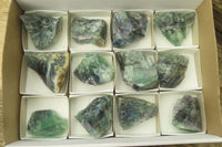 Natural Watermelon Fluorite Cobbed Specimens x 12 From Uis, Namibia