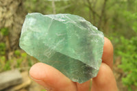 Natural Watermelon Fluorite Cobbed Specimens x 12 From Uis, Namibia