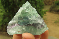 Natural Watermelon Fluorite Cobbed Specimens x 12 From Uis, Namibia