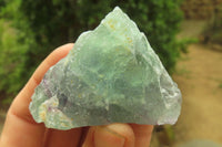 Natural Watermelon Fluorite Cobbed Specimens x 12 From Uis, Namibia