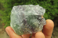 Natural Watermelon Fluorite Cobbed Specimens x 12 From Uis, Namibia