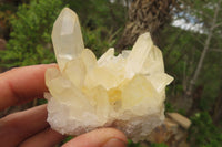 Natural Clear Quartz Clusters x 28 From Madagascar