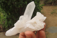 Natural Clear Quartz Clusters x 28 From Madagascar