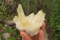 Natural Clear Quartz Clusters x 28 From Madagascar