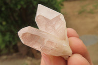 Natural Clear Quartz Clusters x 28 From Madagascar