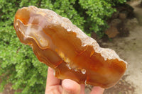 Polished On One Side Red Sashe River Agate Nodules x 3 From Zimbabwe