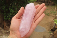 Polished Double Terminated Rose Quartz Points x 4 From Madagascar