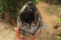 Polished Septerye Sauvage "Dragons" Egg Geode x 1 From Madagascar