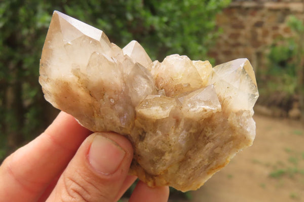 Natural Cascading Smokey Quartz Clusters x 6 From Luena, Congo