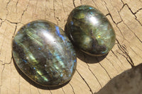 Polished Labradorite Palm Stones x 12 From Tulear, Madagascar