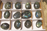 Polished Labradorite Palm Stones x 12 From Tulear, Madagascar