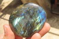 Polished Labradorite Palm Stones x 12 From Tulear, Madagascar