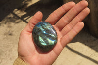 Polished Labradorite Palm Stones x 12 From Tulear, Madagascar