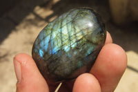 Polished Labradorite Palm Stones x 12 From Tulear, Madagascar