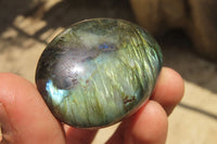 Polished Labradorite Palm Stones x 12 From Tulear, Madagascar