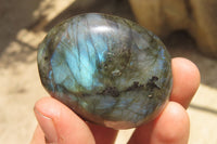 Polished Labradorite Palm Stones x 12 From Tulear, Madagascar