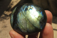 Polished Labradorite Palm Stones x 12 From Tulear, Madagascar