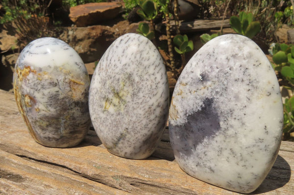 Polished Dendritic Opal Standing Free Forms x 3 From Moralambo, Madagascar