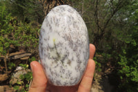 Polished Dendritic Opal Standing Free Forms x 3 From Moralambo, Madagascar